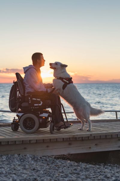 A man in a wheelchair plays with his dog on a beach pier