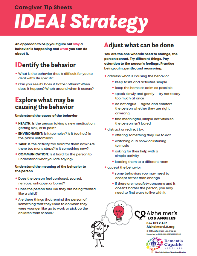 factsheet screenshot: IDEA! Strategy